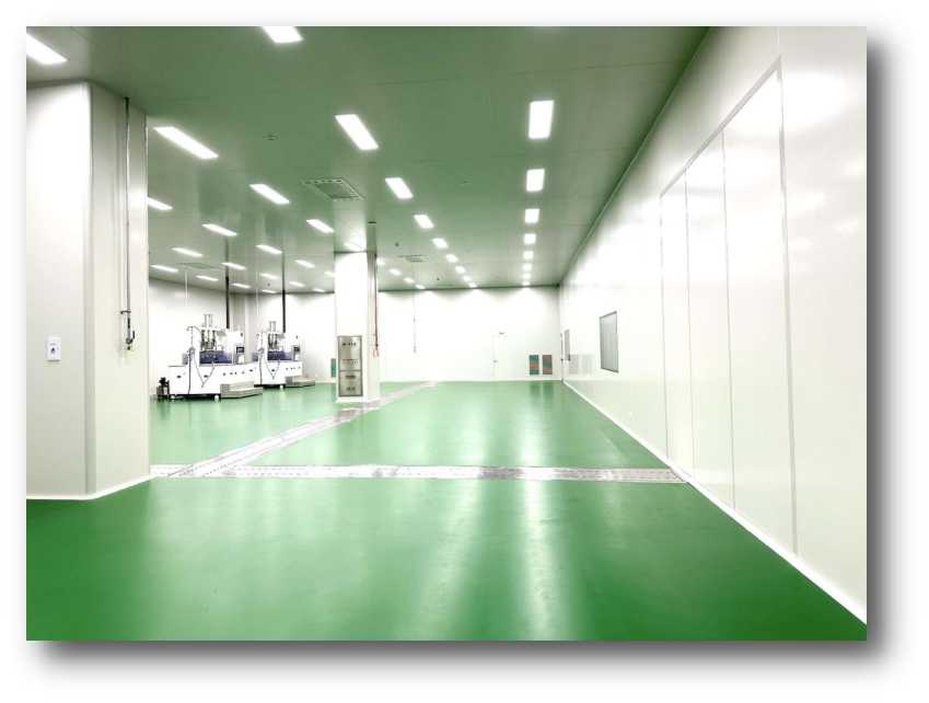 潔淨工(gōng)藝系統解決方案——淨化(huà)施工(gōng)